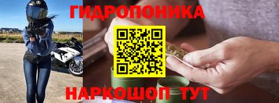 дмт Краснодар