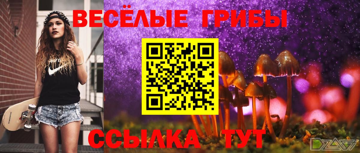 Дюртюли  Галлюциногенные грибы Psilocybe  Вход с VPN 