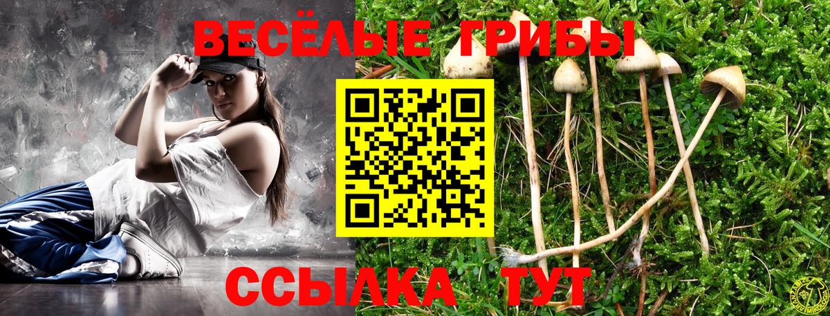 Галлюциногенные грибы прущие грибы Дюртюли